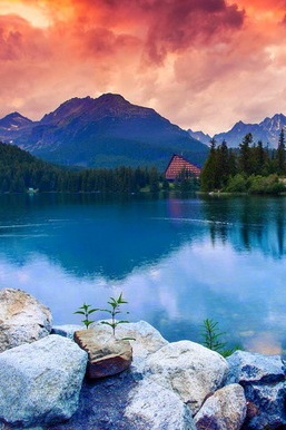 Swiss Alps