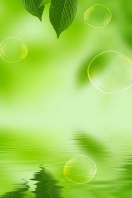 Sự thanh thản trong màu xanh lá cây: Sự ôm ấp của thiên nhiên 🌿💧