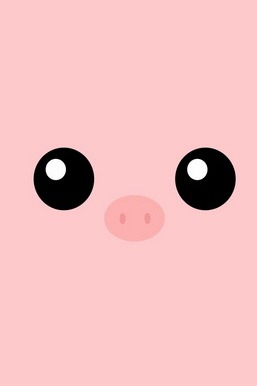 Cute Pig Wallpapers APK for Android Download