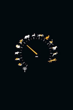 Eco-Friendly Fuel Gauge: The Animal Petrol Meter 🐾⛽