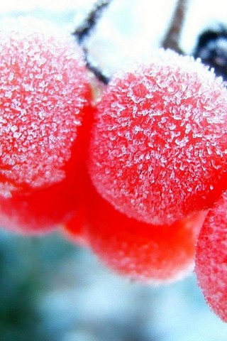 Frozen Fruits