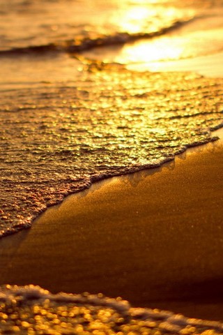 Strand Welle Sonnenuntergang