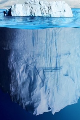Iceberg bonito