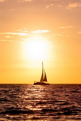 Golden Horizons: A Sailor's Dream