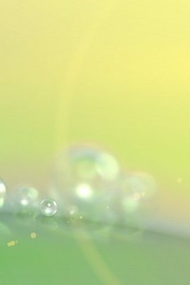 Morning Dew Drop