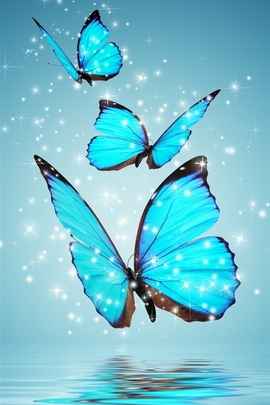 Blaue Schmetterlinge