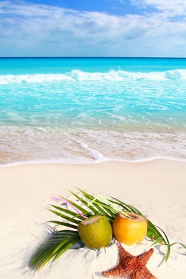 Pantai Tropis