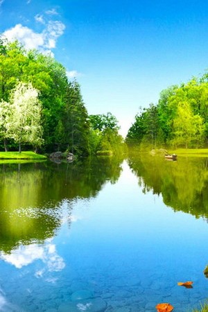 Tranquil Reflections at Calmly Lake 🌊🌳