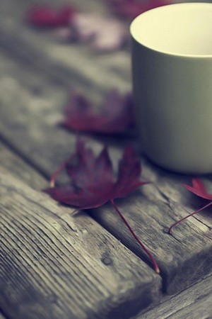 Cozy Autumn Vibes 🍂☕️