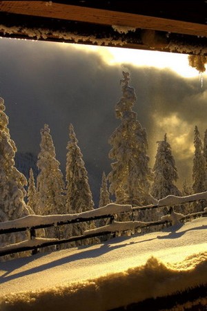 Be Careful With The Ravine