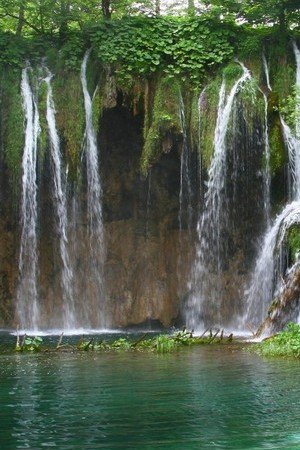 Waterfall In The Jungle