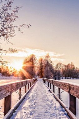 Sunrise Serenity on the Bridge