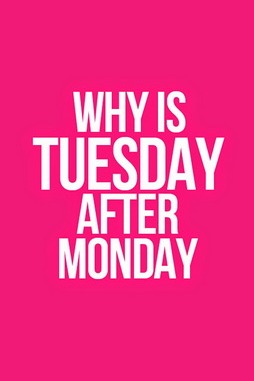 The Curious Case of Tuesday 🤔