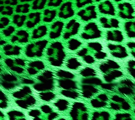 Green Leopard Wallpaper - Download to your mobile from PHONEKY