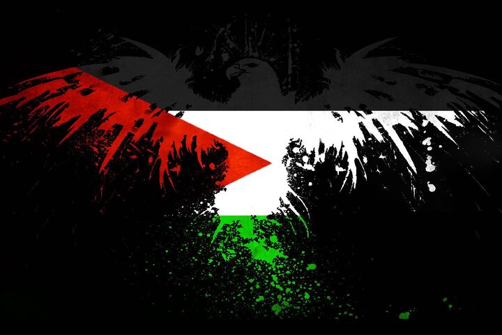 Pin by AAN on فلسطيني  Spirit quotes Palestine quotes Palestine art