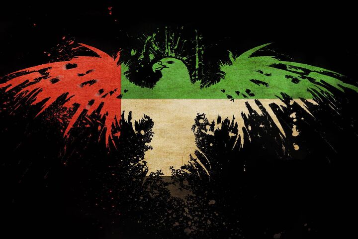 Emirates Spirit: A Symbol of Unity 🇦🇪🦅 Wallpaper - Download to your ...