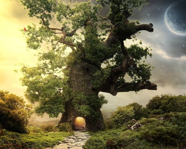 Enchanted Gateway of the Magic Tree 🌳 Wallpaper - Download to your ...