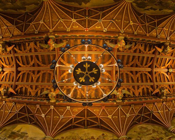 Fish Eye 8 Wallpaper - Download to your mobile from PHONEKY