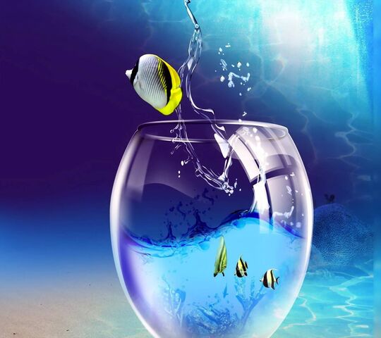 Free Life Wallpaper - Download to your mobile from PHONEKY