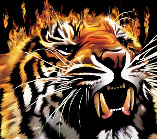 Tiger Wallpapers - Top Free Tiger Backgrounds - WallpaperAccess