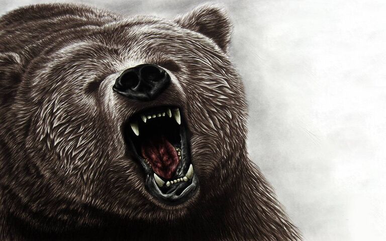 분노의 폭발: 분노의 곰이 포효한다! 🐻🔥 배경화면 - PHONEKY에서 모바일로 다운로드