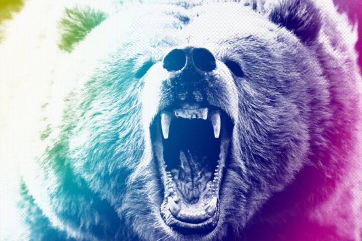 Angry Bear Wallpapers  Wallpaper Cave