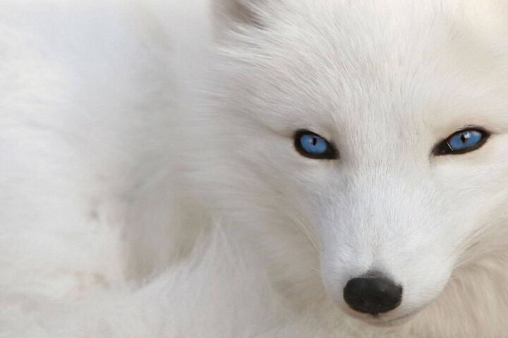 Slinky Wallpaper - Download to your mobile from PHONEKY