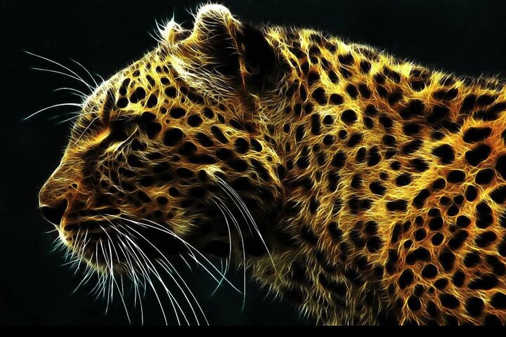Leopard 3D Wallpaper - Download to your mobile from PHONEKY