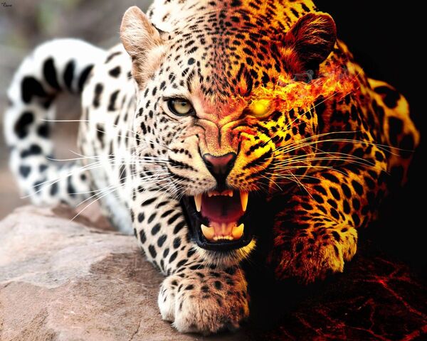 Cheetah Digital Art Background 4K Wallpaper iPhone HD Phone 2270g