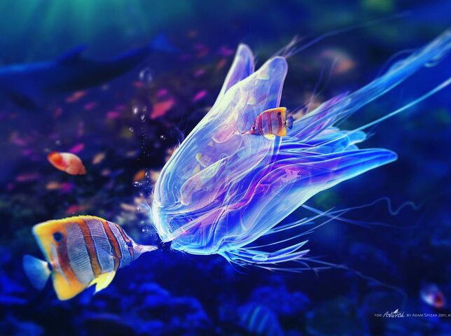 Aqua Wallpaper - Download to your mobile from PHONEKY