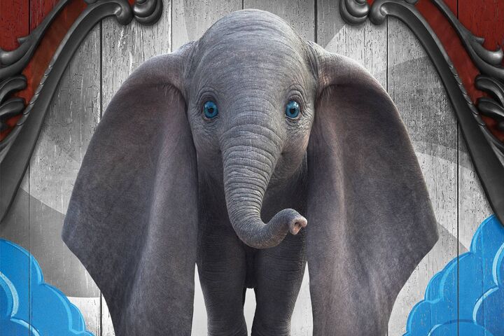 Pink Baby Elephant Blue Wallpapers  Baby Elephant Wallpaper 4k