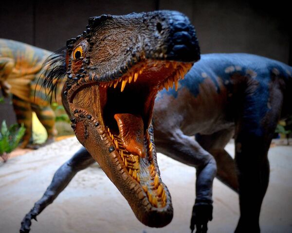 Raptor: The Fierce Predator of the Past 🦖 Wallpaper - Download to your ...