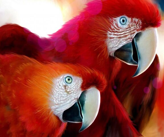 Mast3r Wallpaper - Download to your mobile from PHONEKY