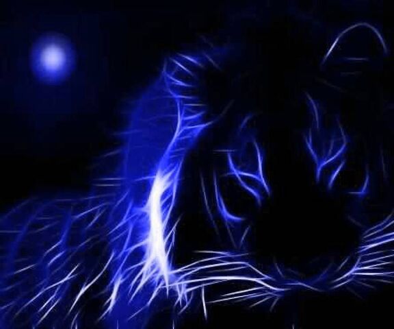 Blue Neon Tiger Wallpaper - Download to your mobile from PHONEKY