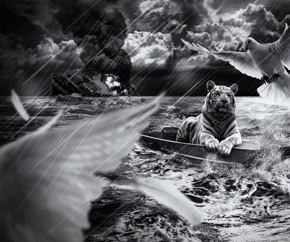 Majestic Journey: The Tiger's Odyssey Wallpaper - Download to your ...