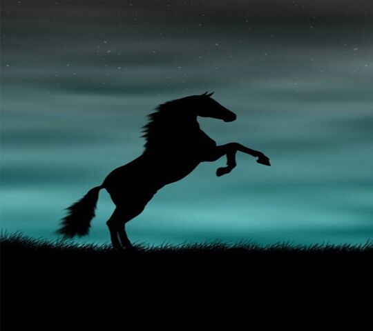 Black Beauty Wallpaper - Download to your mobile from PHONEKY
