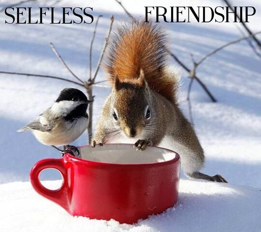 Selfless Friendship Wallpaper - Download to your mobile from PHONEKY