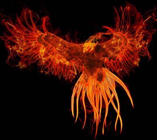 Fire Phoenix Wallpaper - Download to your mobile from PHONEKY