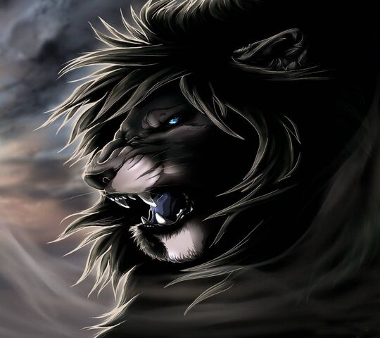 Angry Black Lion Wallpaper  Download to your mobile from PHONEKY