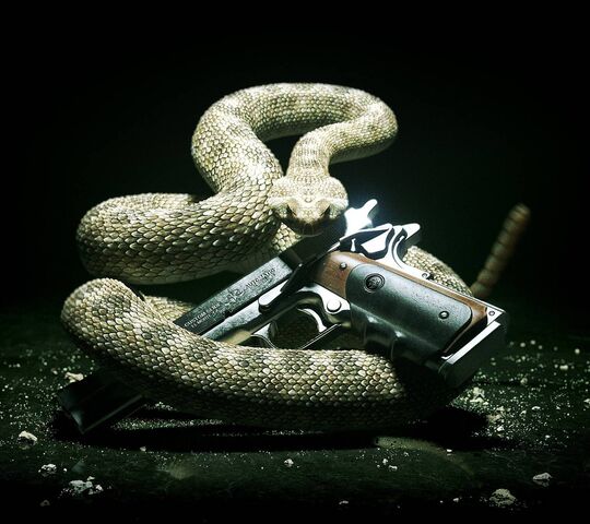 Venomous Power: The Serpent's Shot Wallpaper - Download to your mobile ...