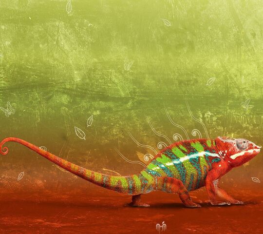 Chameleon Wallpaper - Download to your mobile from PHONEKY