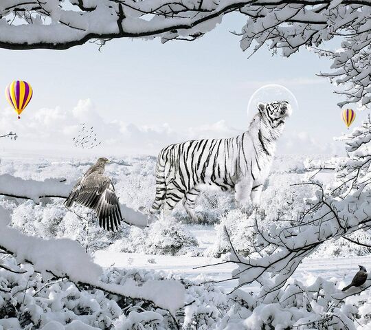 Fantasy Girl Tiger 4K Wallpaper iPhone HD Phone 7630g