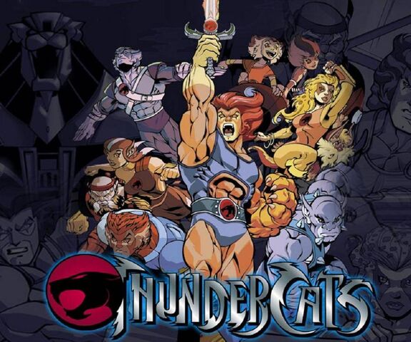29 Thundercats Silverhawks  TigerSharks Wallpapers ideas  thundercats  80s cartoons thundercats logo