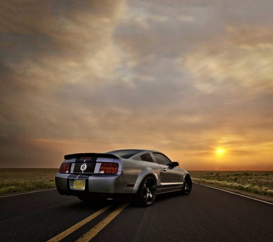 Lái xe ngắm hoàng hôn cùng Shelby Cobra 🏎 ️ 🌅