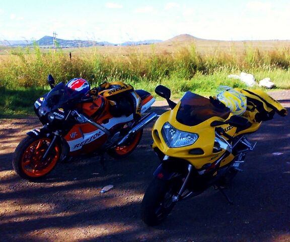 suzuki vs honda motorcycles