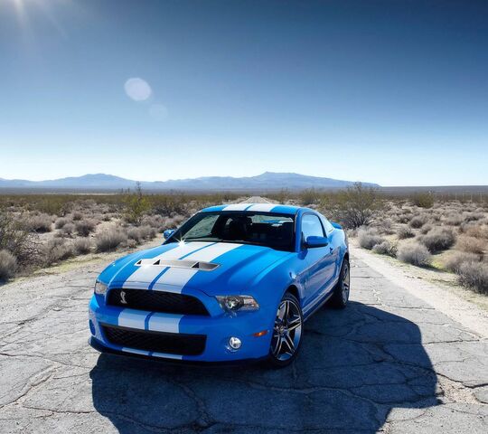 Ford Shelby Wallpaper - Download To Your Mobile From PHONEKY