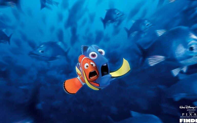 Free Finding Nemo Live Wallpaper APK Download For Android  GetJar