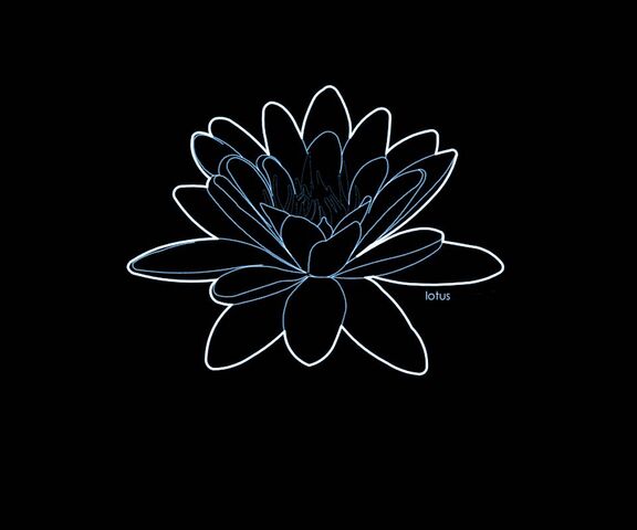 Hình ảnh hoa sen  Bộ sưu tập 50 ảnh hoa sen tuyệt đẹp trên thế giới