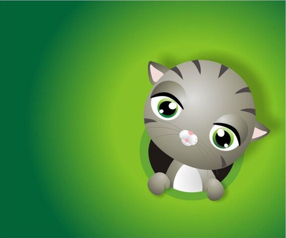 Chat Mignon Fond D Ecran Telecharger Sur Votre Mobile Depuis Phoneky