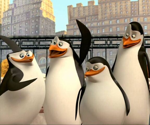 Penguins Of Madagasc Wallpaper - Download to your mobile from PHONEKY